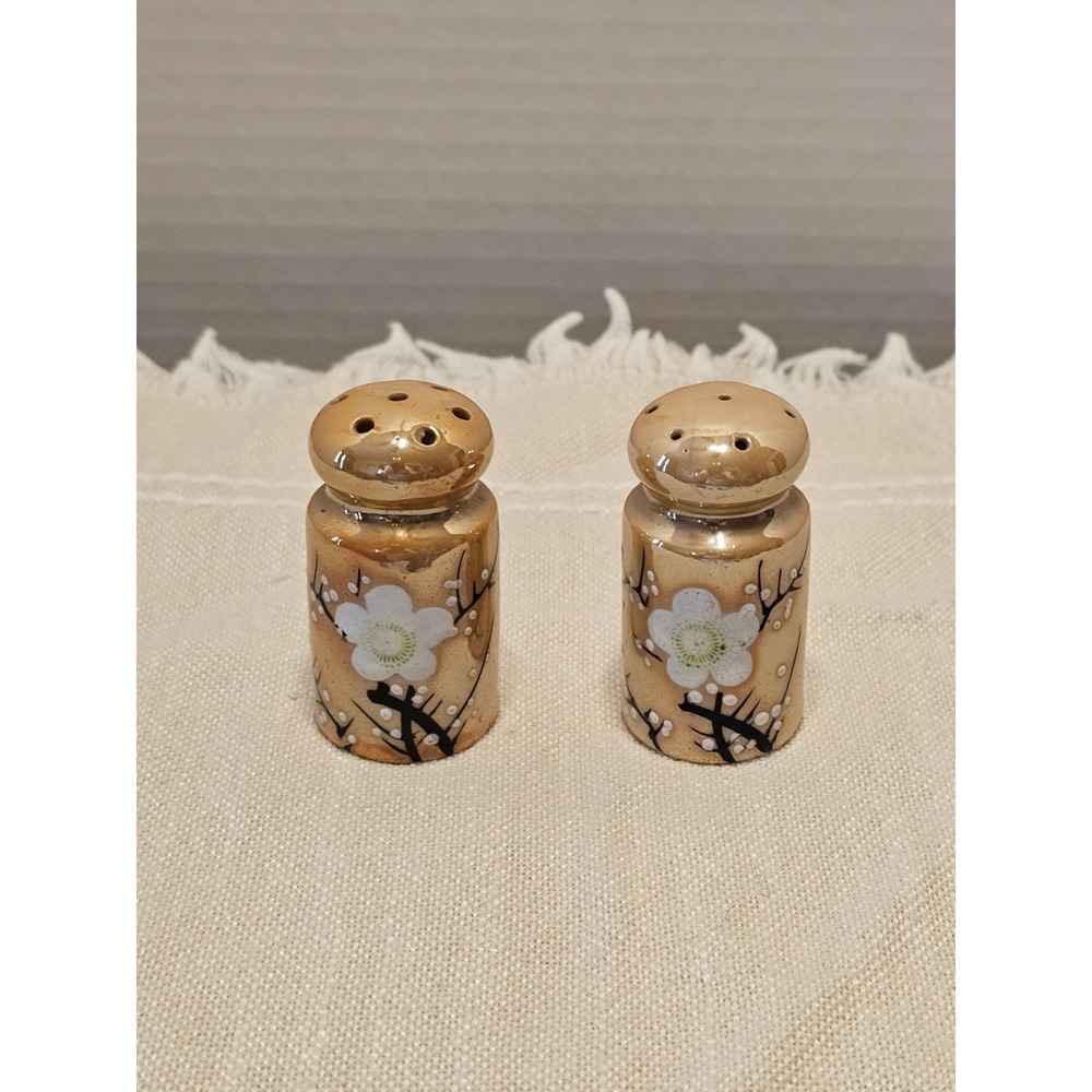Vintage Orange Luster Hand-Painted Floral Salt And Pepper Shakers Japan
